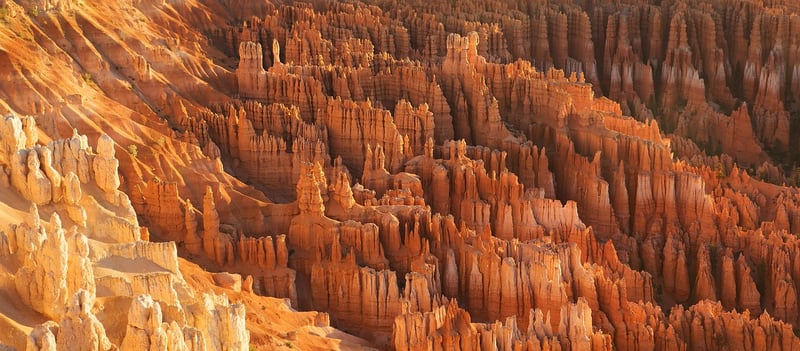 Dreamy Terrains