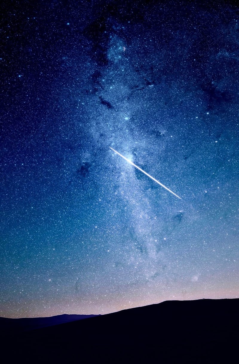Starlight Sentinel